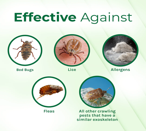Bed Bug & Lice Treatment Combo