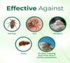 Image of Bed Bug & Lice Treatment Combo