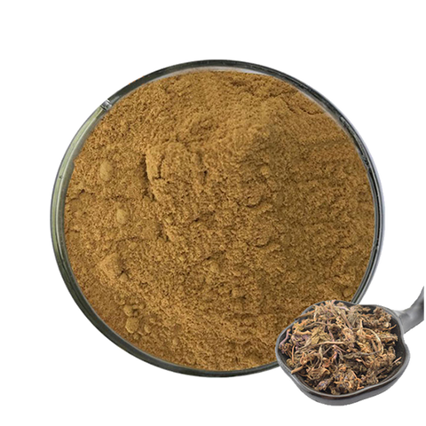 Turkesterone Powder Extract 10:1 from Ajuga Turkestanica - 2% Pure Turkesterone - Extra Strength, 100 grams